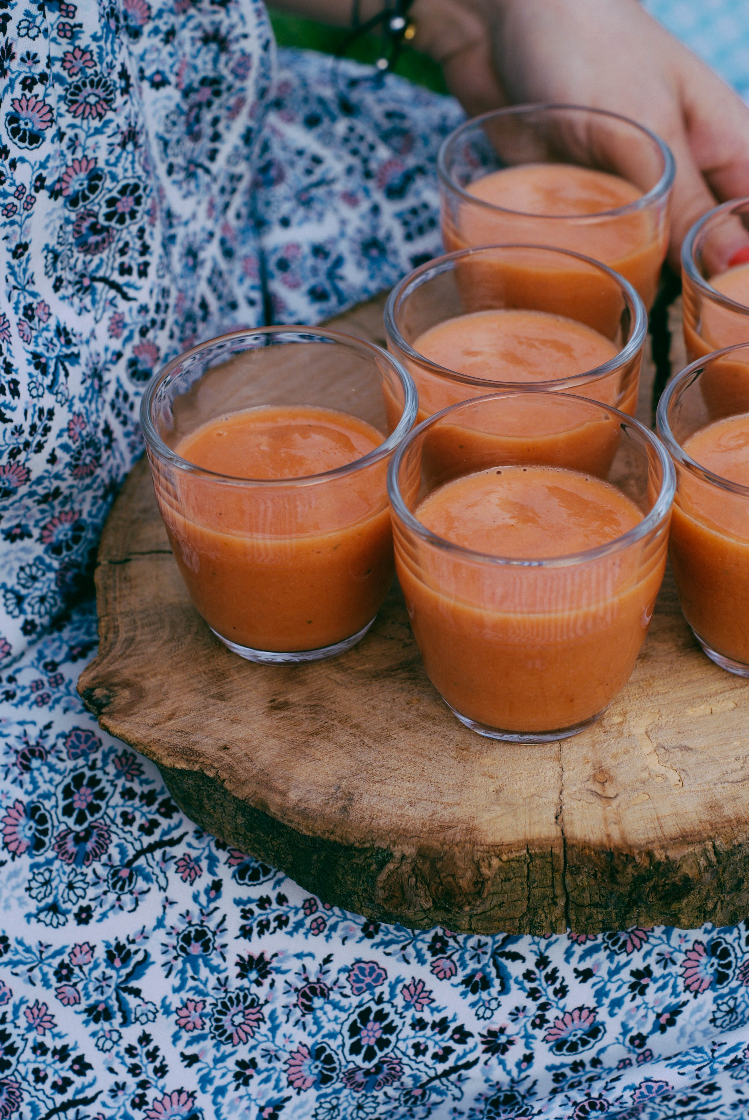 {Knieja Wood} Gaspacho de tomates, rhubarbe & basilic