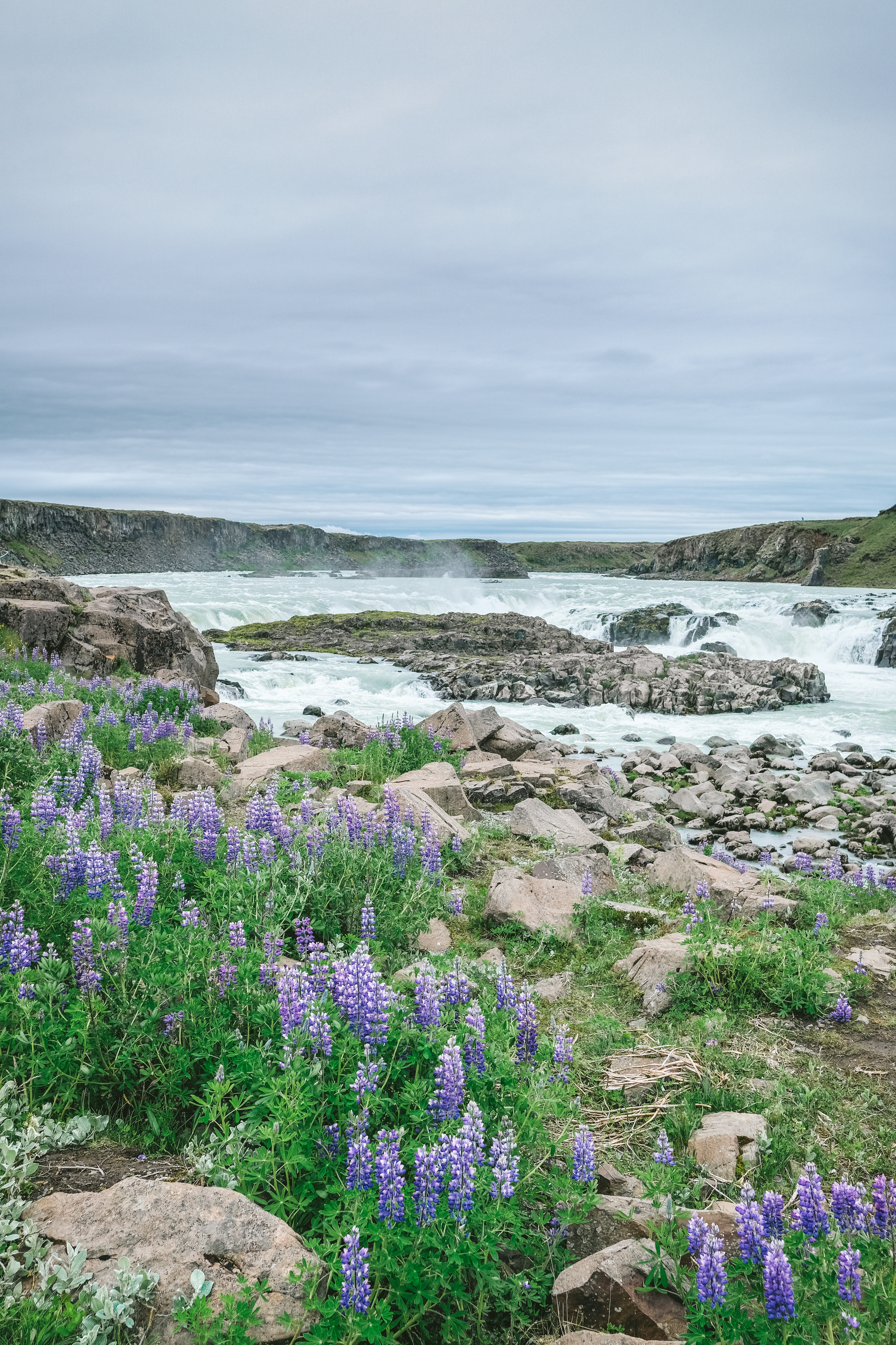 meganearderighi-megandcook-islande19