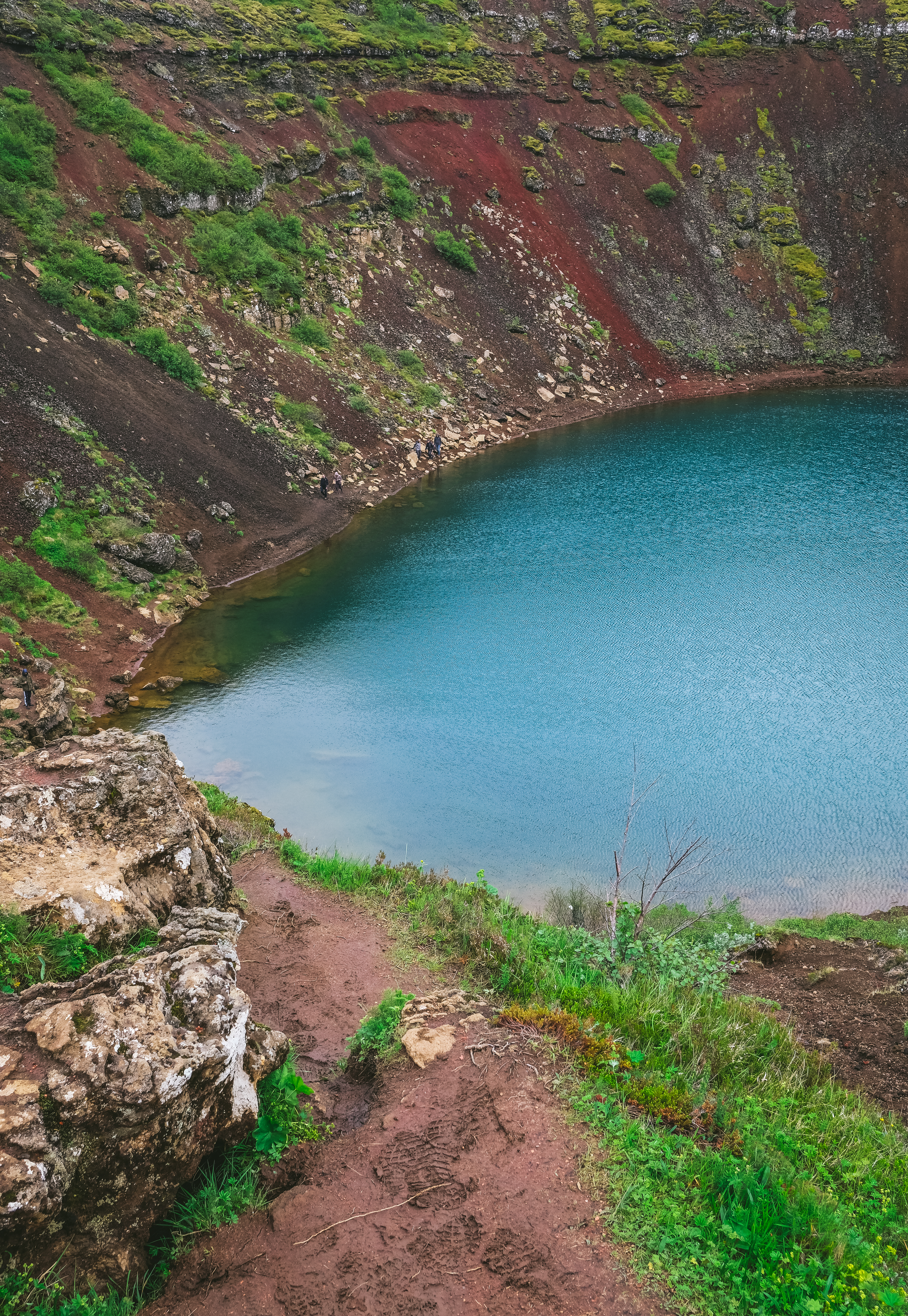 meganearderighi-megandcook-islande50