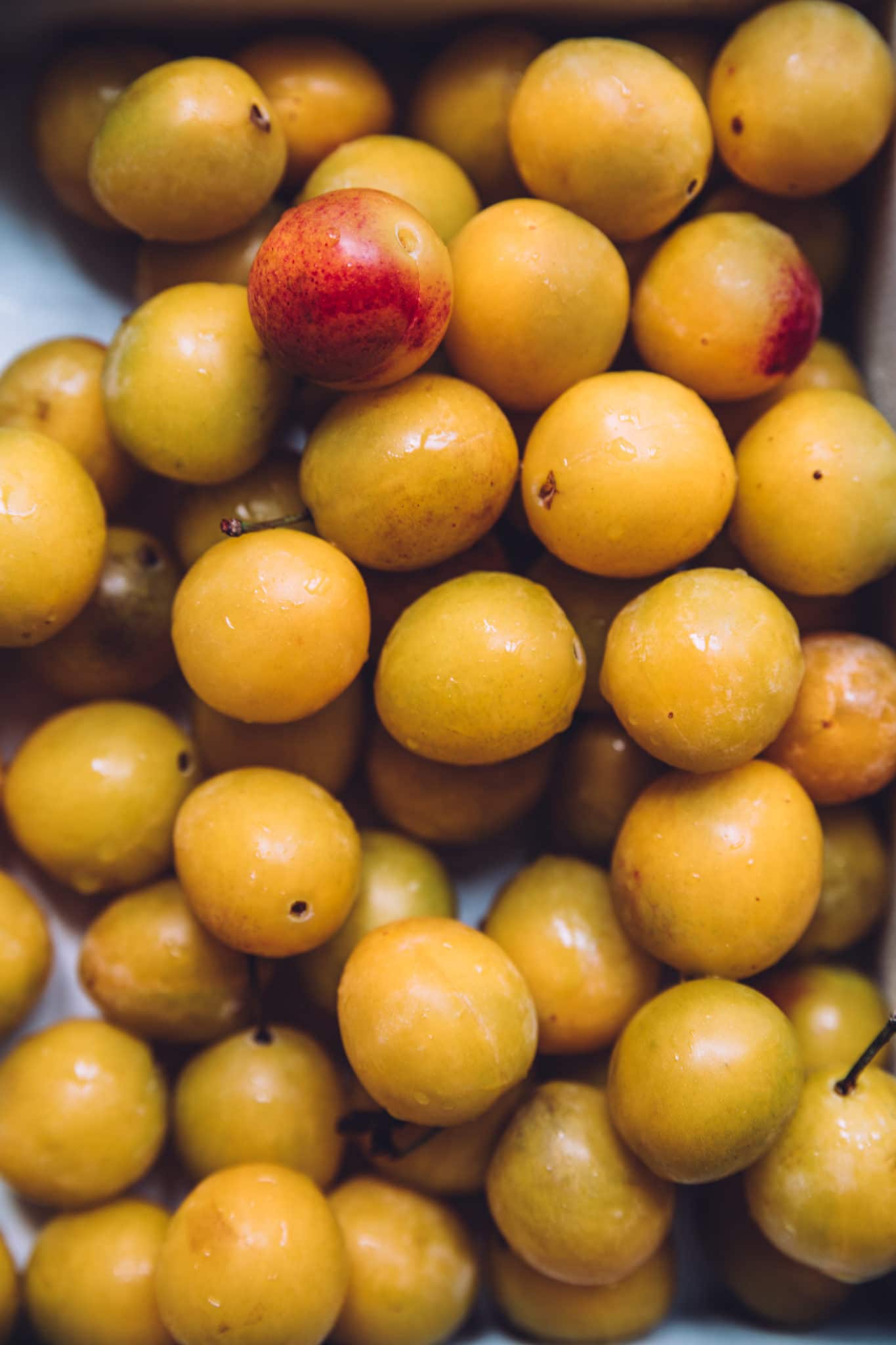 Tarte aux mirabelles - Mégane Ardérighi styliste culinaire lyon