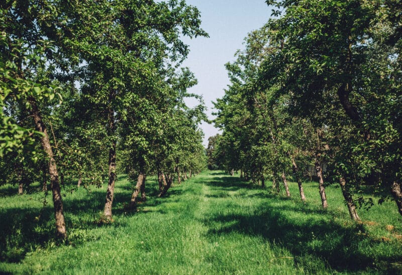 Road trip gourmand au coeur du Pays d’Auge